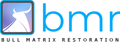 BULL MATRIX, LLC Logo