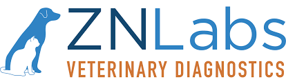 ZNLabs, LLC Logo